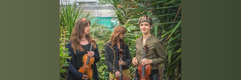 J.A.M. String Collective @ Jazz at The Lescar